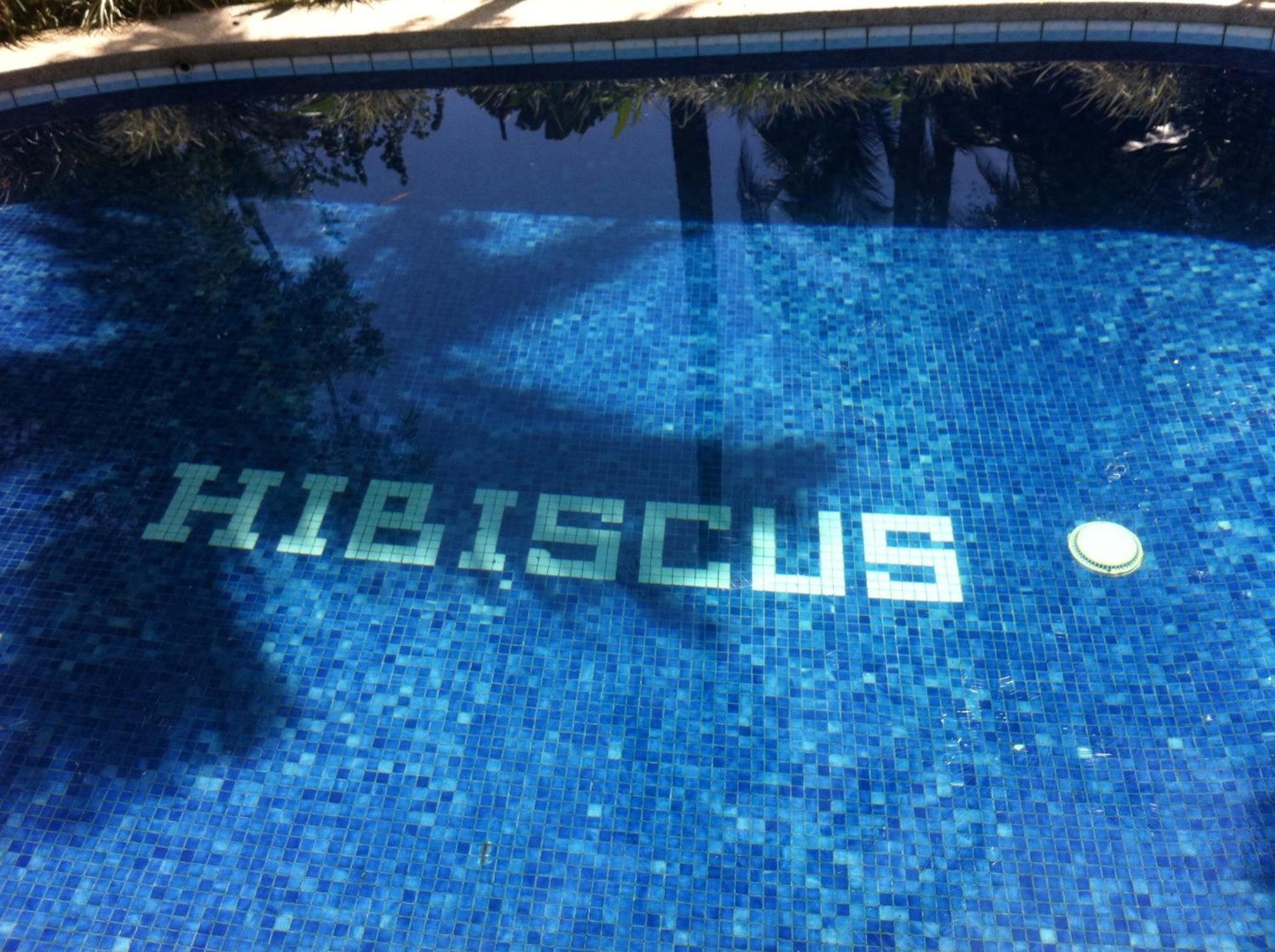 Chalet Y Cabinas Hibiscus Cahuita Exterior foto